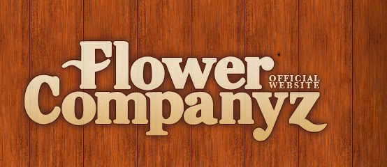Flower Companyz OFFICIAL WEBSITE