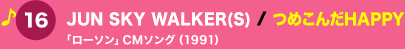16 JUN SKY WALKER(S) / ߂HAPPY u[\vCM\O (1991)