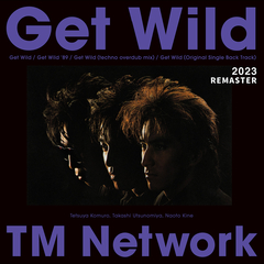 TM NETWORK THE VIDEOS1984-1994完全限定版DISC4