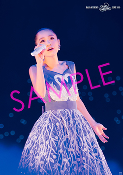 Love Collection Live 2019