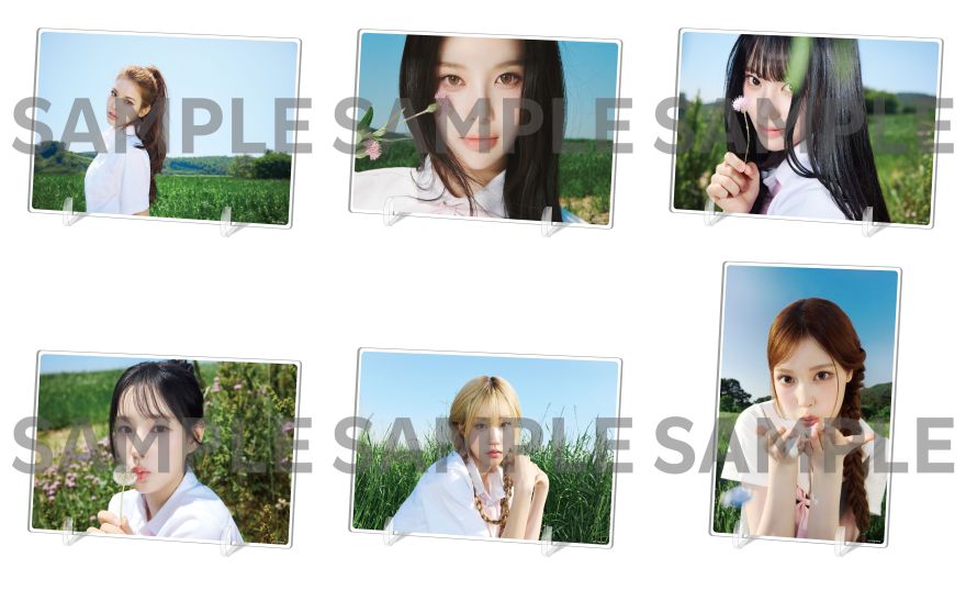 izna HANDLE WITH CARE 店舗ラキドロ 6種 5セット NEWS | izna JAPAN OFFICIAL SITE