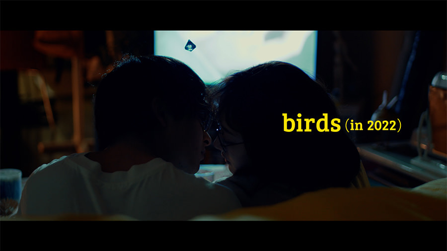 birds (in 2022) [Official Video]