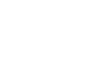フジファブリック「カンヌの休日 feat. 山田孝之」 2017.2.15 On Sale!