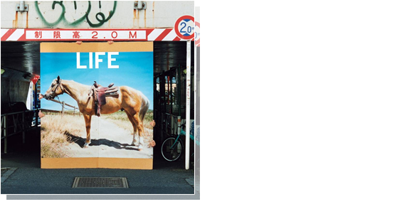 初回生産限定盤[CD+LIVE CD]AICL-2632～3  \1,800 (tax in) [CD] 1.  LIFE 2. タイトル未定 3. LIFE (backing track) [LIVE CD] FUJIFABRIC LIVE TOUR 2013 