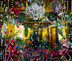 星の消えた夜に【初回生産限定盤A】 | Aimer | ソニーミュージック 