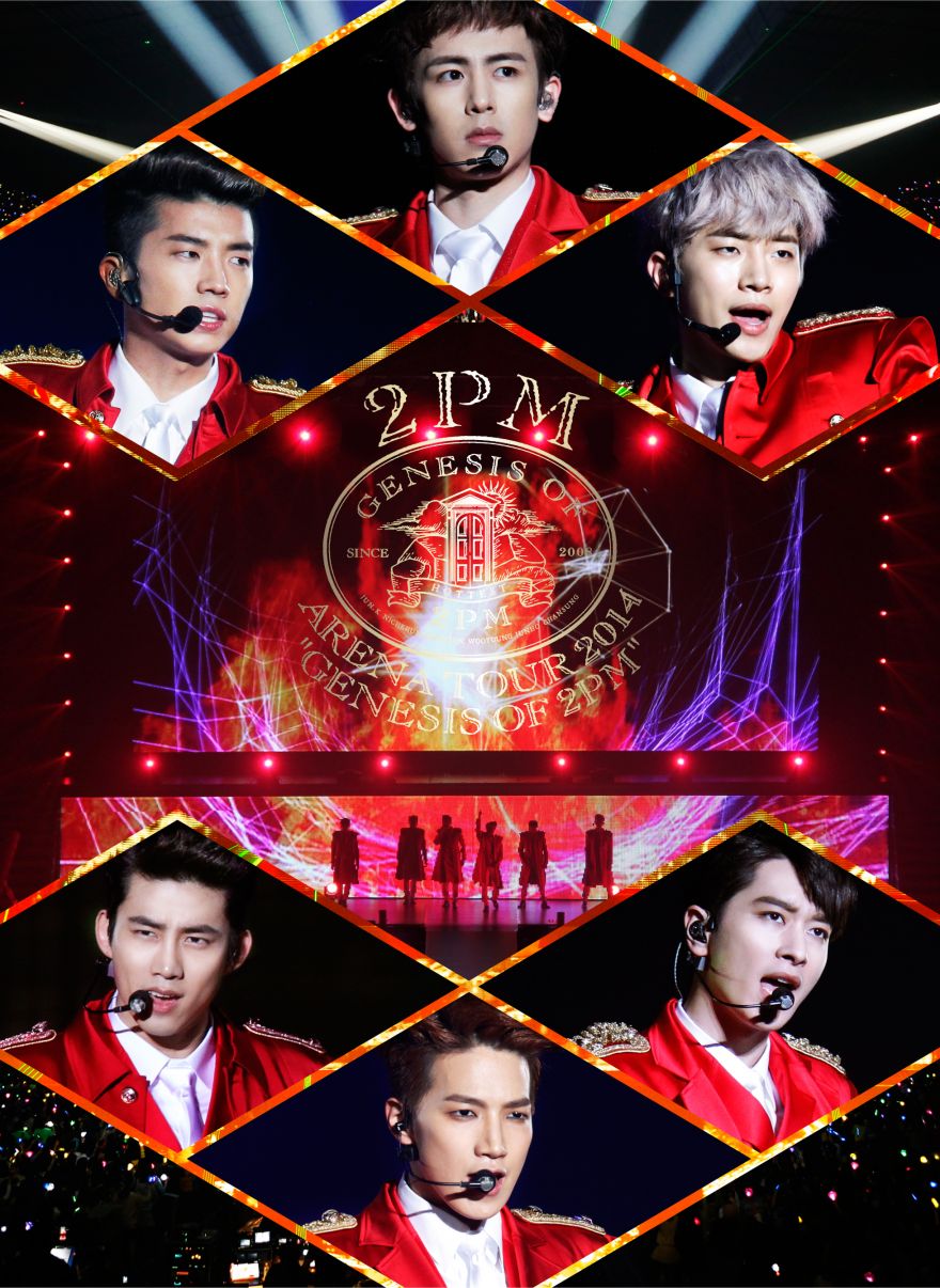 美品 2PM 完全生産限定盤 2PM東京ドームコンサートDVD-