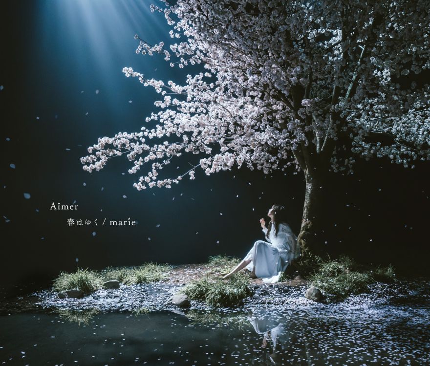 Aimer 18th Single 春はゆく Marie アートワーク公開 全収録内容決定 Aimer ソニーミュージックオフィシャルサイト