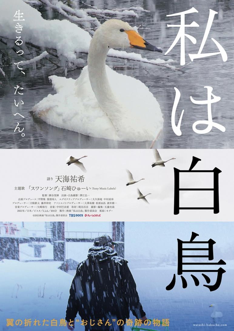 11月公開ドキュメンタリー映画 私は白鳥 の主題歌に新曲 スワンソング を提供しました 石崎ひゅーい ソニーミュージックオフィシャルサイト