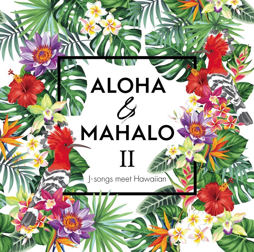 至極のハワイアンコンピレーションアルバム「ALOHA  MAHALOⅡ ～J-songs meet Hawaiian～」参加決定！ | 近藤利樹 |  ソニーミュージックオフィシャルサイト