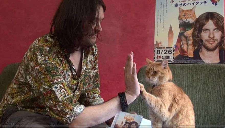 猫好き必見！『ボブという名の猫 幸せのハイタッチ』動画メッセージ公開<br> サントラ初回盤には特製”ボブ“ステッカーシート封入 |  サウンドトラック（洋楽） | ソニーミュージックオフィシャルサイト